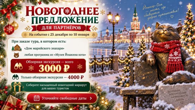 новогодняя акция тиб